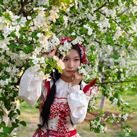 Chenqi Han